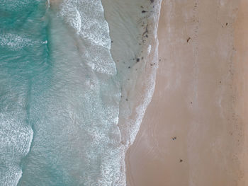 Top down aerial view of beach where the cool shallow waves hit the soft sandy beach.