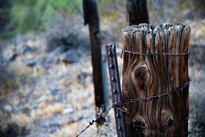 Close-up of wooden post on field