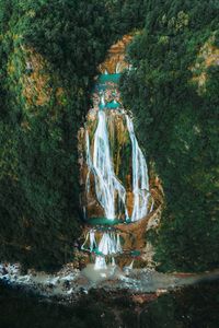 Scenic view of waterfall in forest