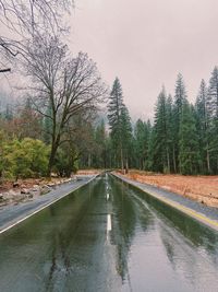 Wet road amidst trees against sky during rainy season