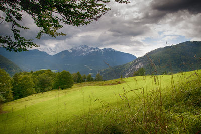 Scenic view of field against sky