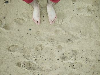 Low section of woman standing on sand