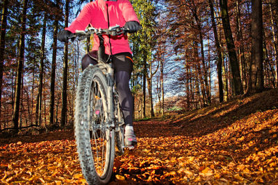 Man riding bicycle in forest