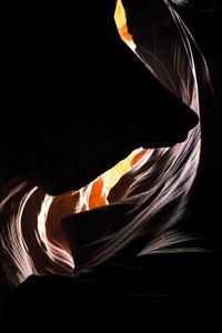 Close-up of leaf at night