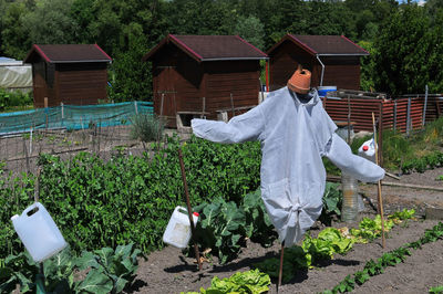 Rear view of man working at farm