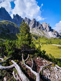 Scenic view of landscape and mountains against sky