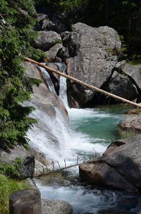 Scenic view of waterfall in forest