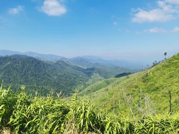 Scenic view of landscape against sky