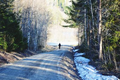 Man cycling on road amidst trees in forest