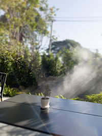 View of potted plant on table in yard