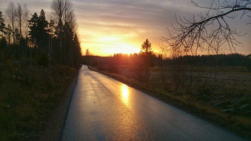 Bare trees at sunset