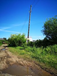Plants growing on road against clear sky