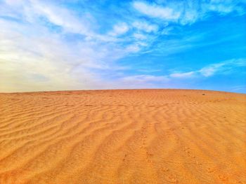 Desert of algeria