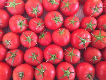 Full frame shot of red tomatoes