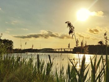 Scenic view of river at sunset