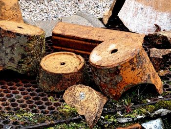 Stack of logs in forest