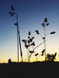 Silhouette plants against clear sky during sunset