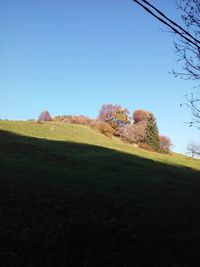 Scenic view of field against clear sky