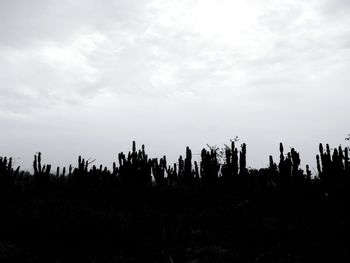 Scenic view of field against cloudy sky