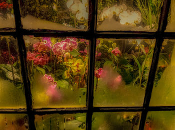 Full frame shot of tree