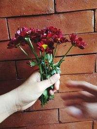 Close-up of hand holding flowers