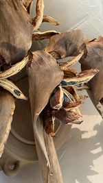 High angle view of horse in basket