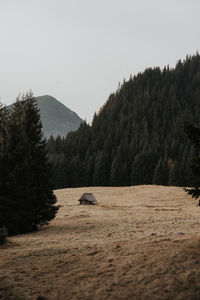 Scenic view of landscape against clear sky