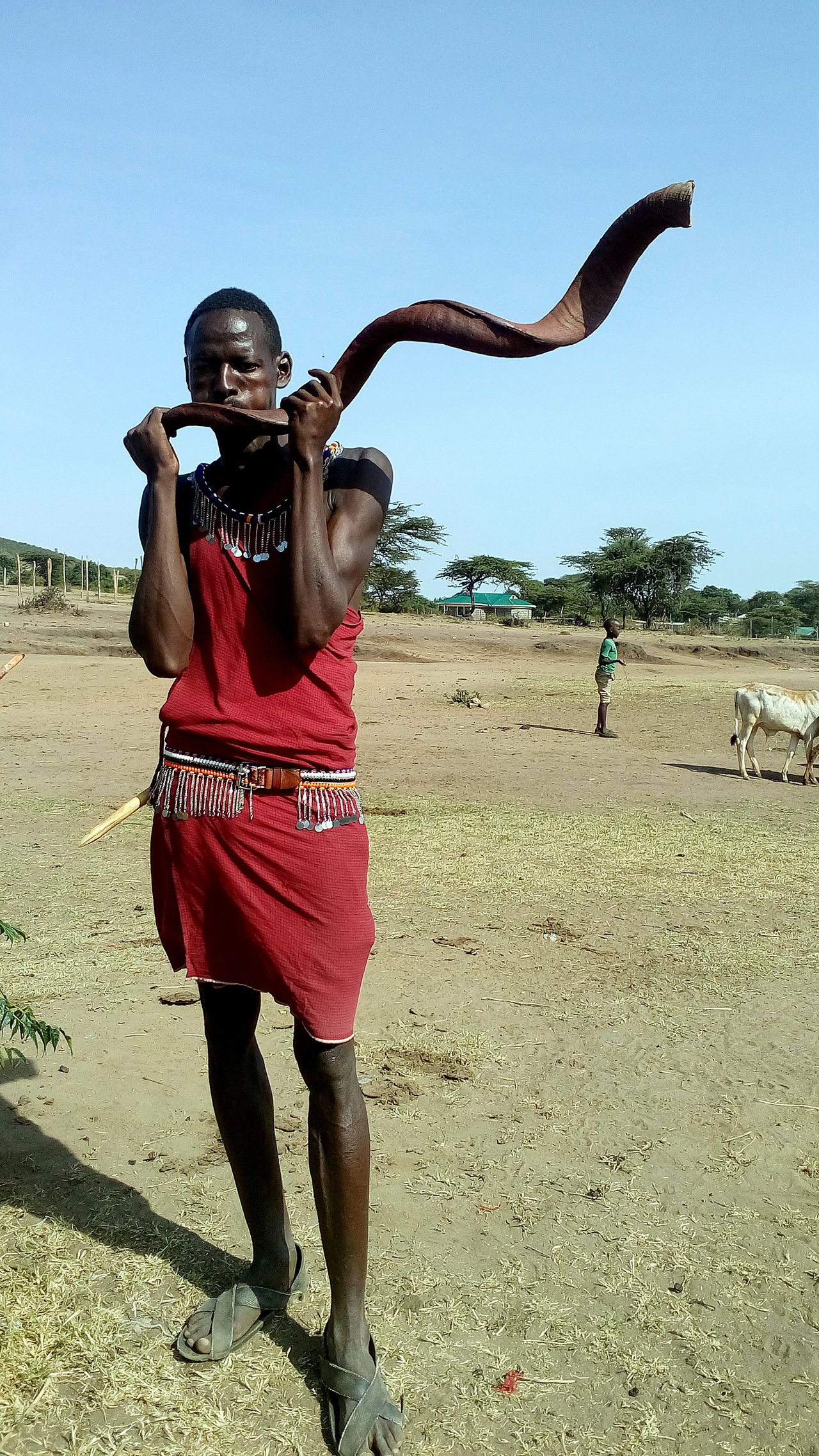 Celebration instrument