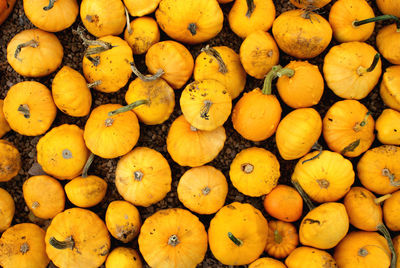 Full frame shot of fruits for sale at market stall
