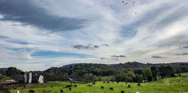 Scenic view of green landscape against sky