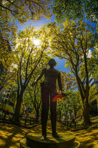 Rear view of man standing by trees in park