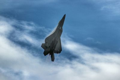 Low angle view of bird flying against clear sky