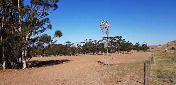 Trees on field against clear blue sky