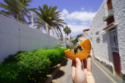 Cropped image of person holding orange fruit