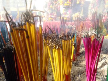 Close-up of flowers in temple