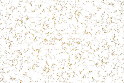 Full frame shot of white background