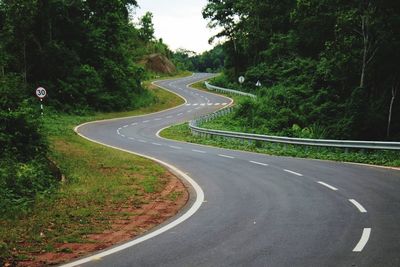 S-shape road amidst trees