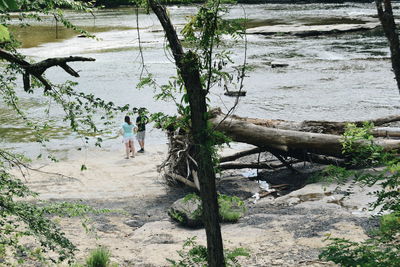 View of people standing on tree trunk