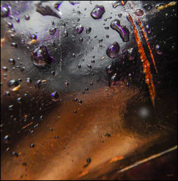 Close-up of water drops on white background