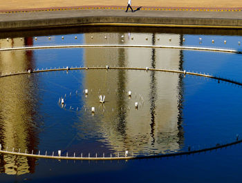 Reflection of trees in water