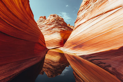 Full frame shot of tree stump