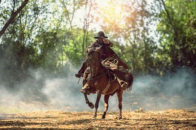 View of horse running on land