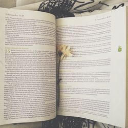 Close-up of book on table