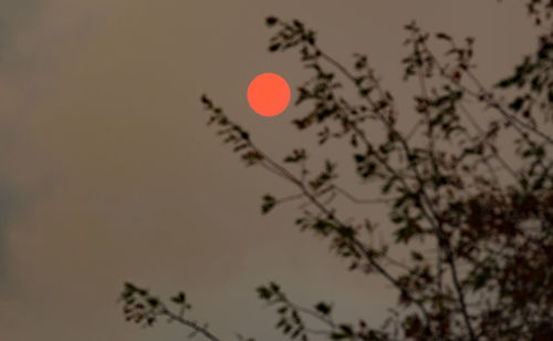 Low angle view of moon against sky at sunset