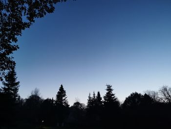 Low angle view of silhouette trees against clear sky