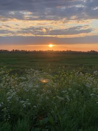 Scenic view of field against sky during sunset