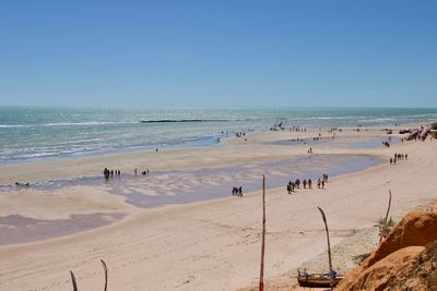 Group of people on beach against clear sky