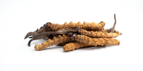 Close-up of meat on white background