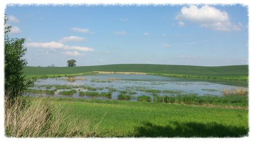 Scenic view of field against cloudy sky