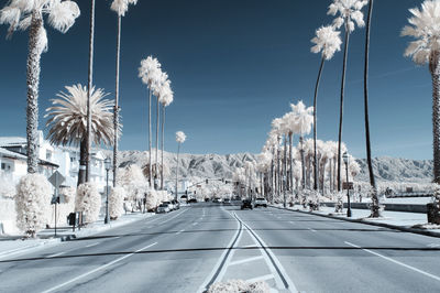 Snow covered road amidst trees against sky